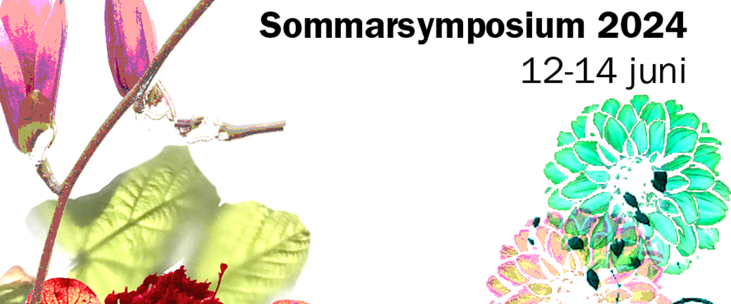 Slide Sommarsymposium 2024