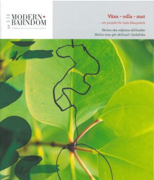 MB 3:14.jpg